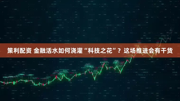 策利配资 金融活水如何浇灌“科技之花”？这场推进会有干货