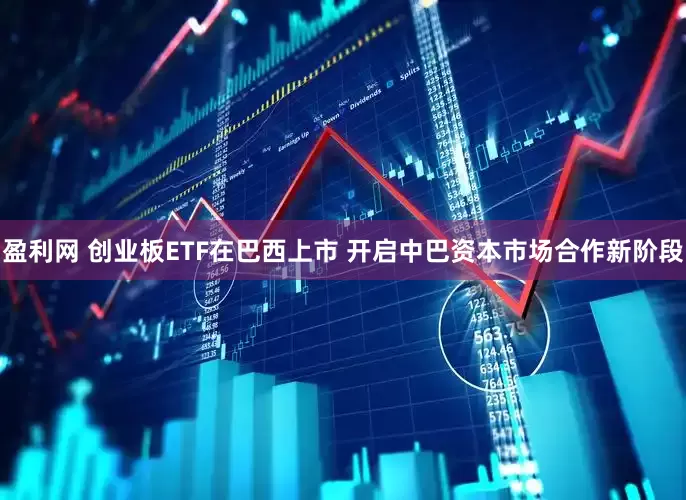 盈利网 创业板ETF在巴西上市 开启中巴资本市场合作新阶段